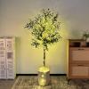 imageYOLEO Artificial Olive Tree 5FT Tall Faux Silk Plant for Home Office Indoor Decor Fake Olive Tree with Lifelike Olive LeavesGreen Olive 5ft