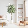 imageYOLEO Artificial Olive Tree 5FT Tall Faux Silk Plant for Home Office Indoor Decor Fake Olive Tree with Lifelike Olive LeavesGreen Olive 6ft