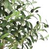 imageYOLEO Artificial Olive Tree 5FT Tall Faux Silk Plant for Home Office Indoor Decor Fake Olive Tree with Lifelike Olive LeavesGreen Olive 6ft
