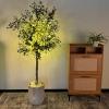 imageYOLEO Artificial Olive Tree 5FT Tall Faux Silk Plant for Home Office Indoor Decor Fake Olive Tree with Lifelike Olive LeavesGreen Olive 6ft