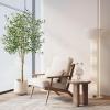 imageYOLEO Artificial Olive Tree 5FT Tall Faux Silk Plant for Home Office Indoor Decor Fake Olive Tree with Lifelike Olive LeavesGreen Olive 6ft
