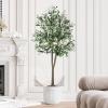 imageYOLEO Artificial Olive Tree 5FT Tall Faux Silk Plant for Home Office Indoor Decor Fake Olive Tree with Lifelike Olive LeavesGreen Olive 5ft